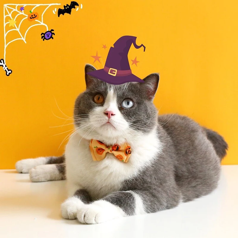 S84e8371494b8445d9c7fd911dafe6b8f7