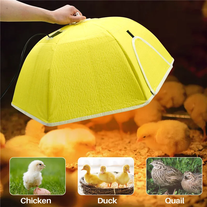 Chicken Coop Heater Chick Brooder Electric Poultry Heating Plate Chick Bird Hatchling Incubator Breeding Equipment 1Pc