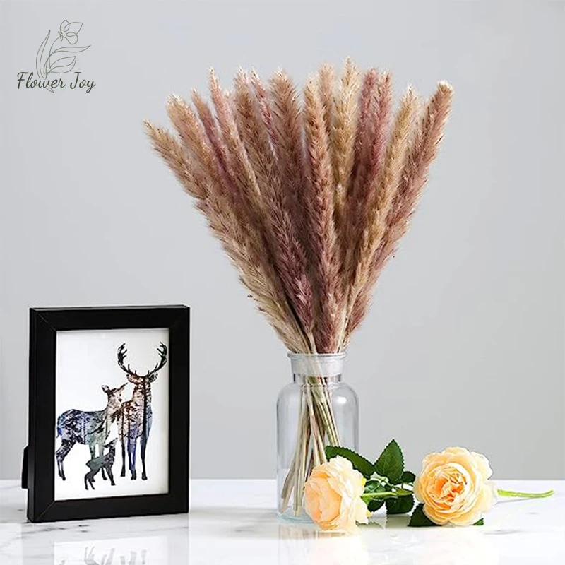 

15pcs Pampas Grass Natural Dried Flowers Small Reed Phragmites Plants Bouquet for Wedding Party Table Decoration Boho Home Decor