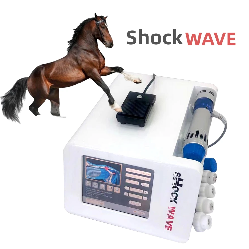 

Portable Veterinary Eswt for Horse Extracorporal Equine Shockwave Therapy Pain Rehabilitation Professional Racecourse Use Machin