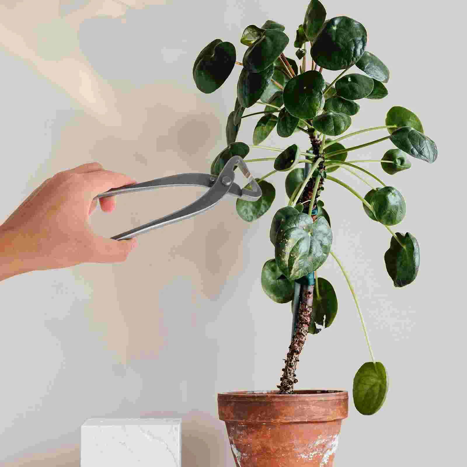 Broken Rod Scissors Hedge Clippers Bonsai Shears Diagonal Carbon Steel Garden Bender Tool Pruning Bonsia Tree Tools