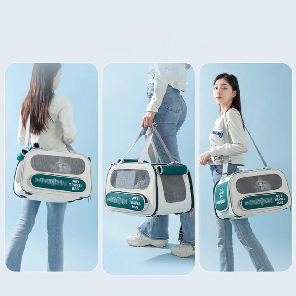 Pet Breathable Carrier 4