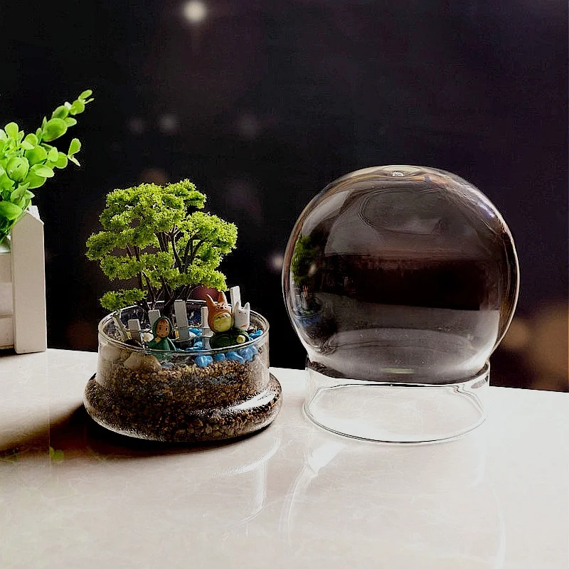Split type Spherical Micro Landscape Vase Containers Desktop Glass Vase Green Moss Bansai Landscape Glass Terrarium Home Decor 5