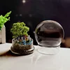 Split type Spherical Micro Landscape Vase Containers Desktop Glass Vase Green Moss Bansai Landscape Glass Terrarium Home Decor 5