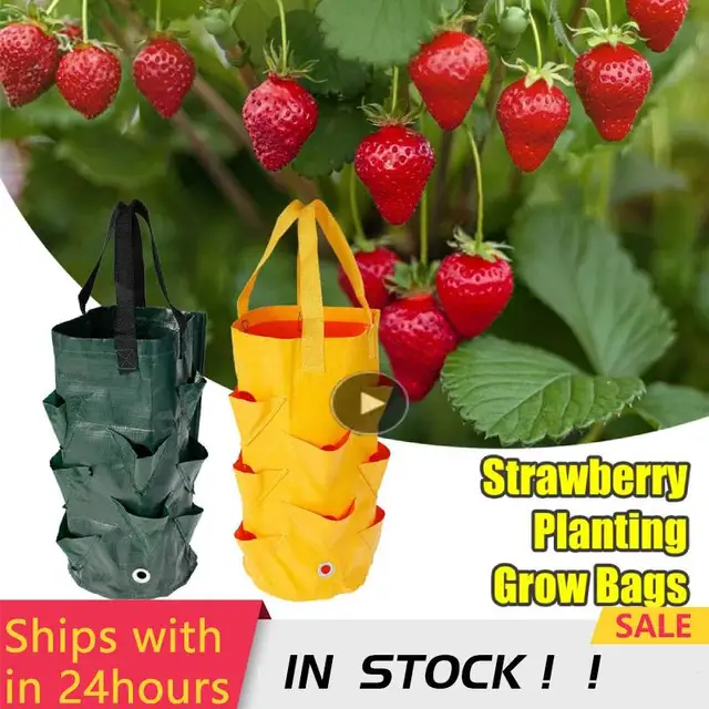 2022 Multi-Mouth Grow Táska 3 Gallon Hot Sell Strawberry Paradicsom Ültetési Táskák Újrahasznosítható Kertek Erkélyek Virág Gyógynövény Ültetvény