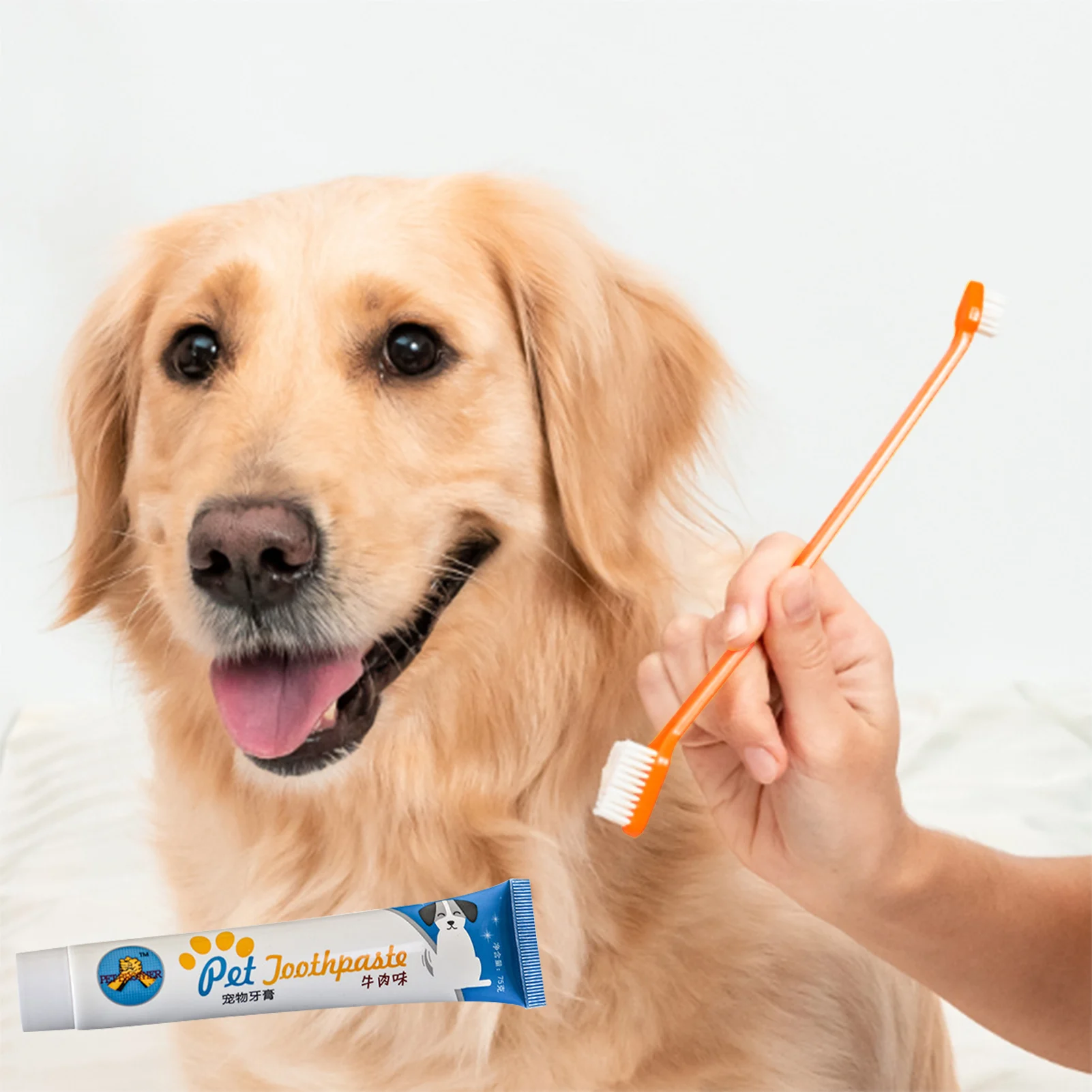 Dog Ate Some Toothpaste Famous Brand clc.cet.edu