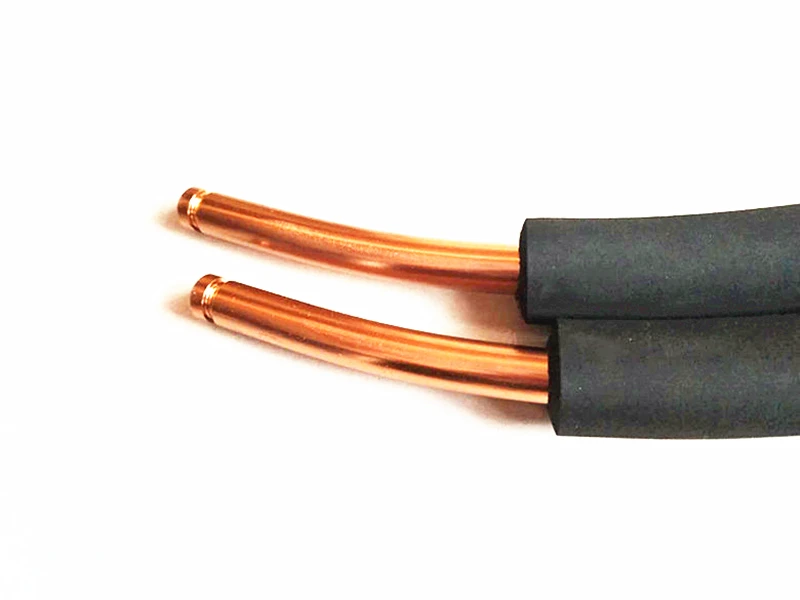 Рисунок 4 - Бесплатная доставка мощные воздушные змеи 2 шт