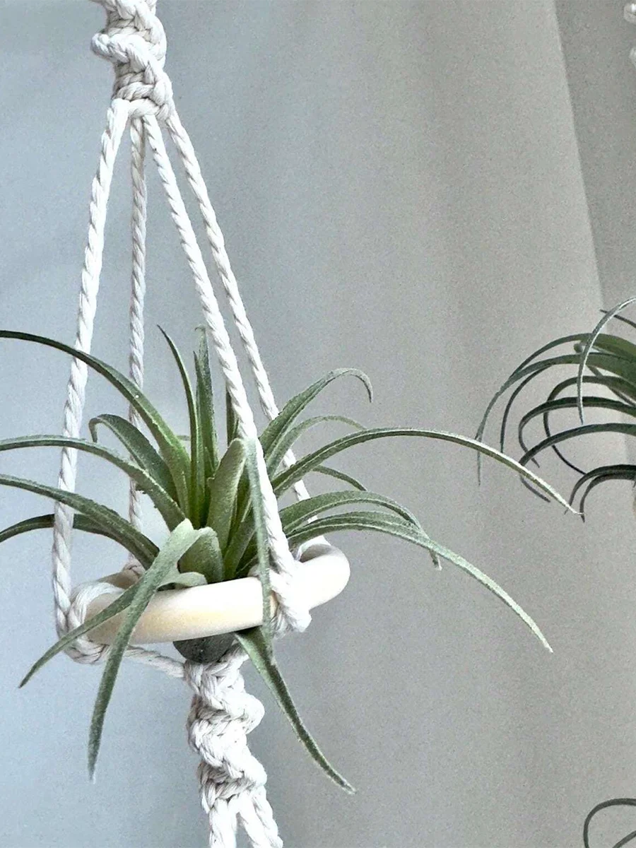 Handcrafted Macrame Air Plant Hanger 4