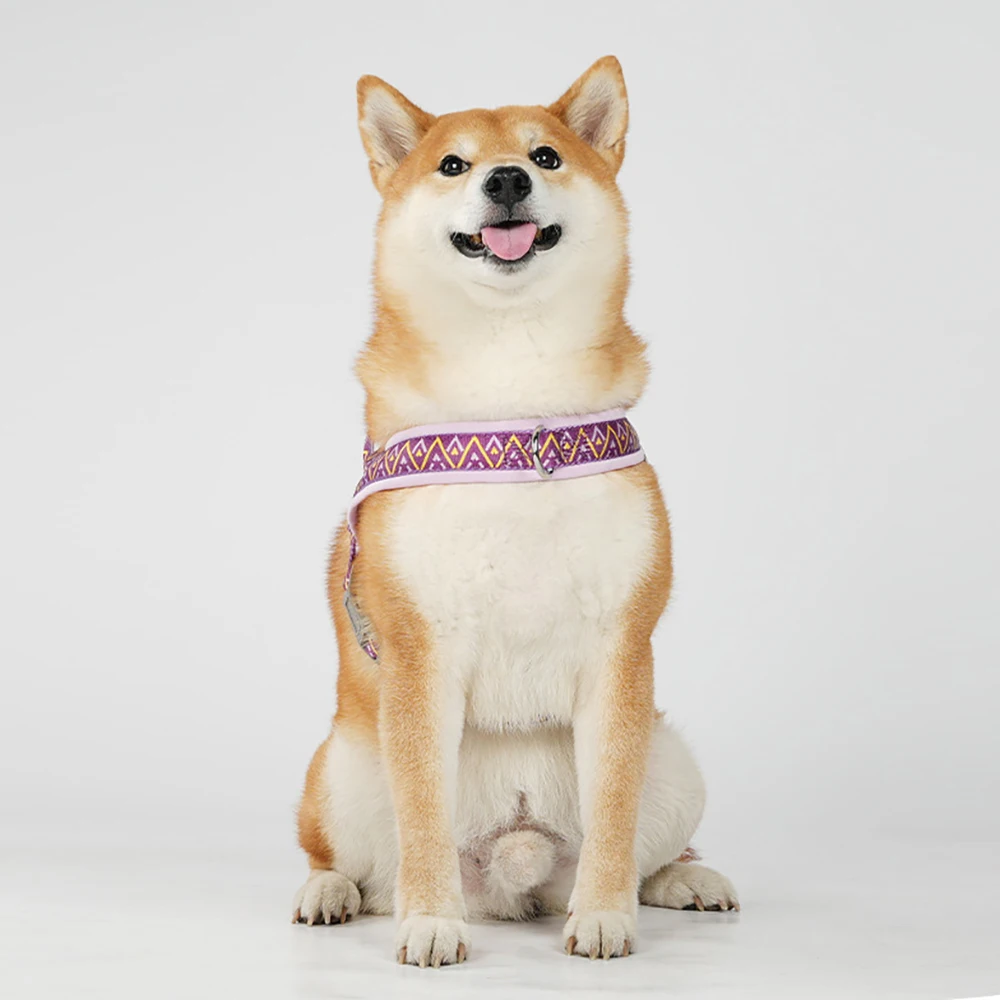 Dog Harness Fashion Printed Saddle, Soft Adjustable No-pull Padded Vest With Handle For Pet All Breeds_voghion.com