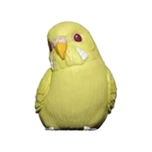 thumbnail image 1 of Figura Kawaii Bandai de mano Pequeño amigo lindo pájaro adorno búho loro cuervo pájaro esmeralda perla caja huevo regalo hecho a mano juguetes, 1 of 5