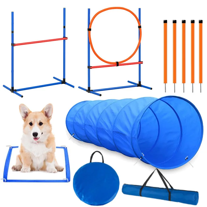 Dog obstacle training prop visual 6
