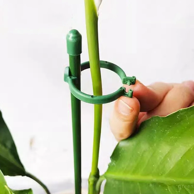 Garden Plant Supports Pole Flower Rose Butterfly Orchid Stem Support Rods Plant Climping Support Fixing Clamp Adjustable Height plastic plant supports plant stem support
