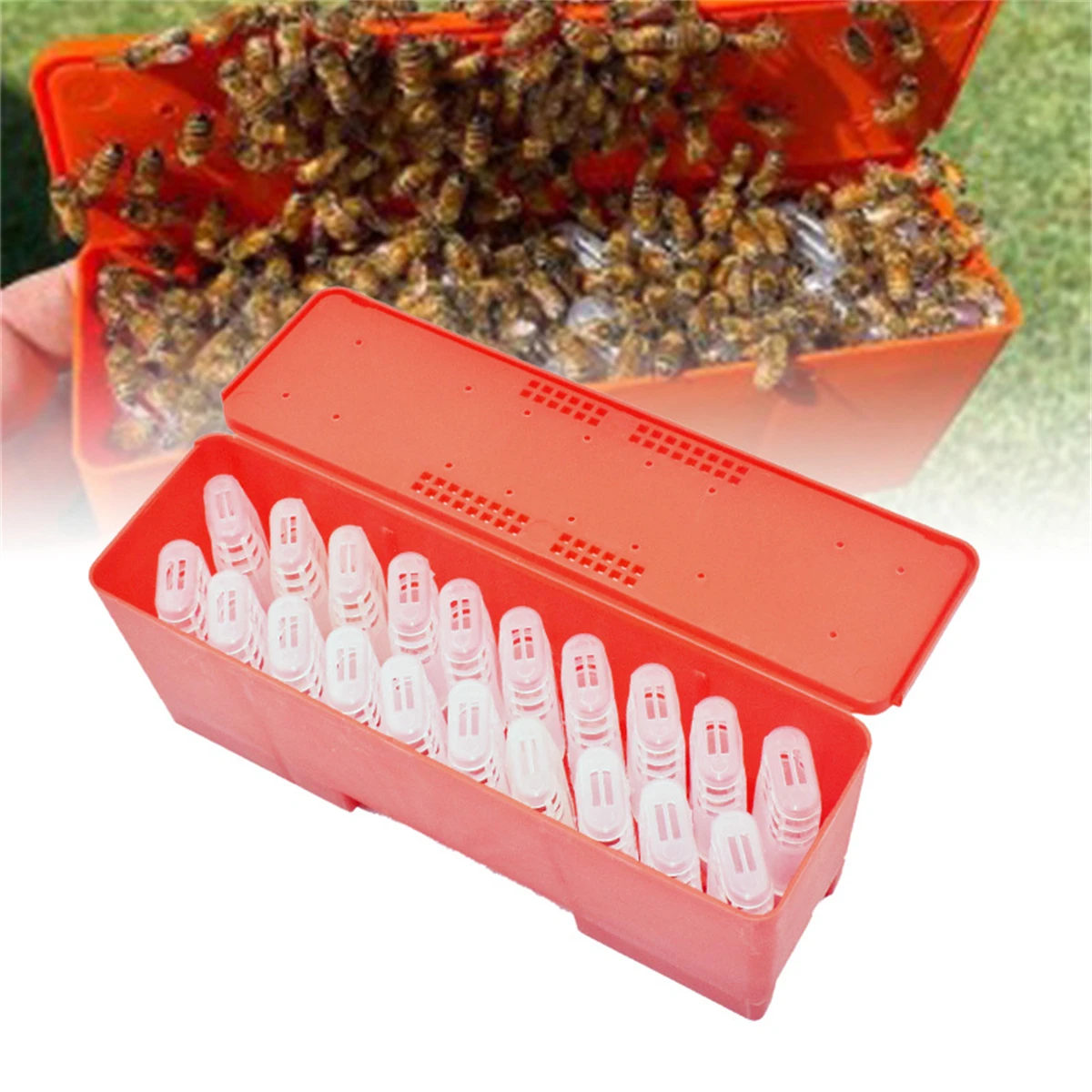 Queen Bee Transport Box Kit 20Pcs White Queen Bee Cages Red Large Transport Box Rearing Incubator Moving Isolator
