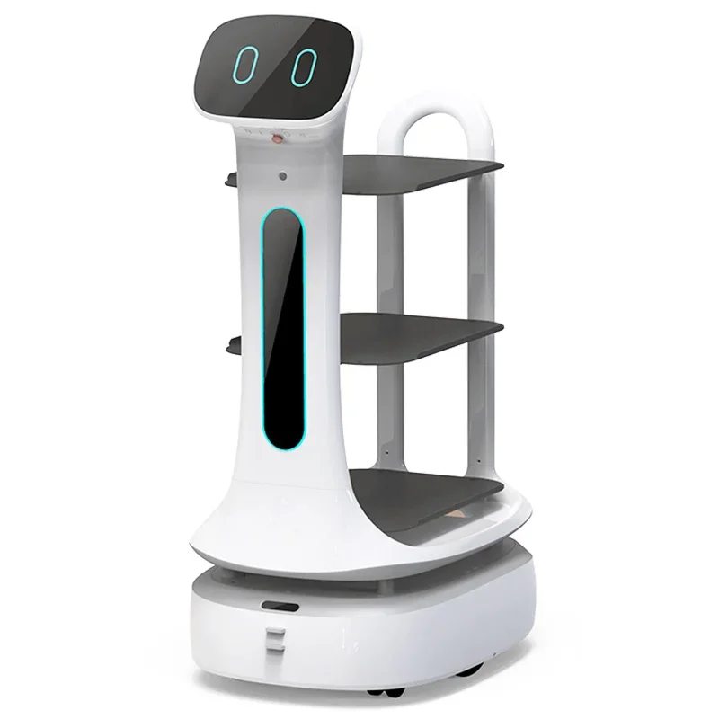 Service Waiter Robot