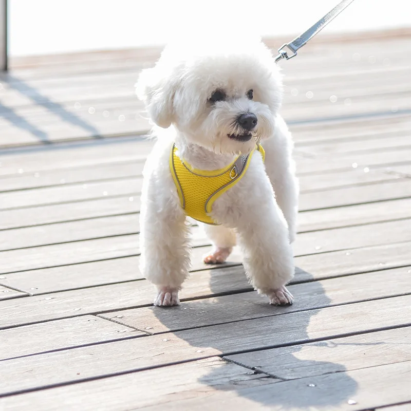 S84ff006a13604a37aedd3948ca2050a7c