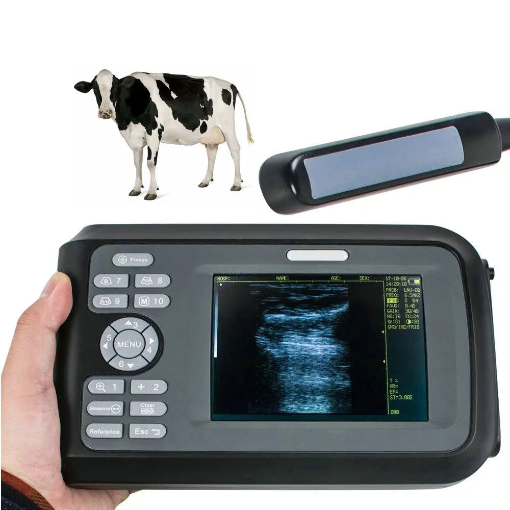 

Cheap good pig cow cattle equine goat ultrasound machine portable horse preg nancy test ultrasound rectal probe large animal vet