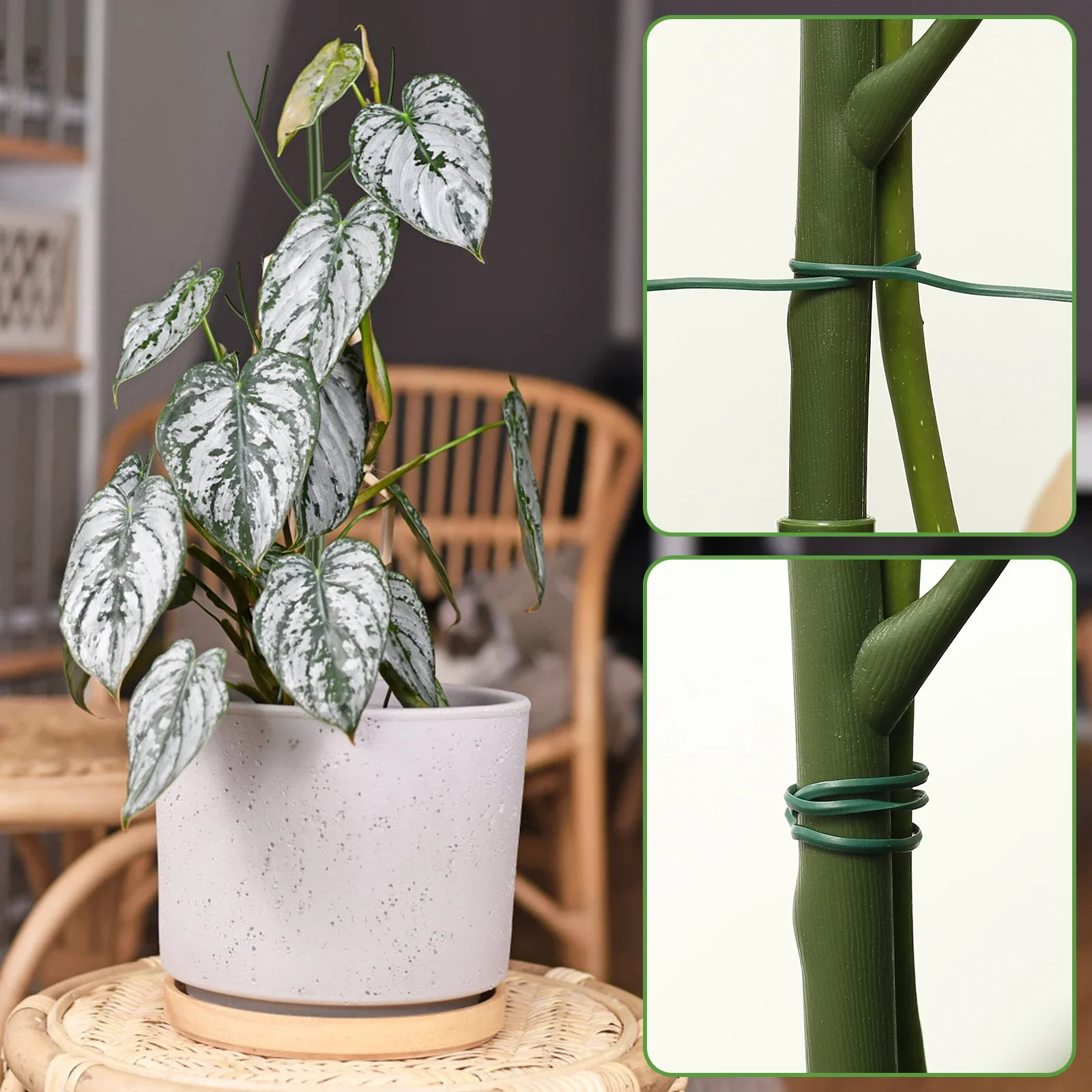 Set of 5 Reusable Plant Support Stakes - Realistic Tree Branch Design for Potted Plants and Vines