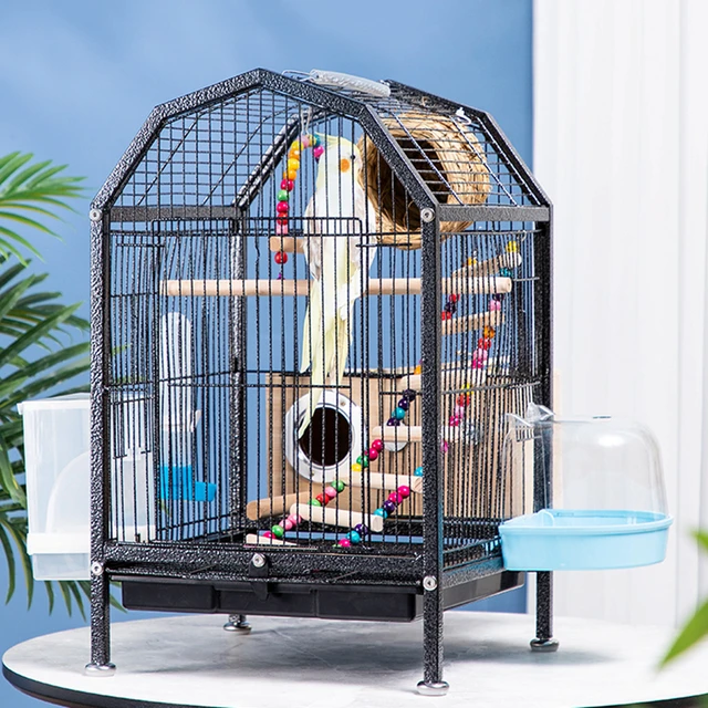 Cage à oiseaux d'intérieur avec clôture en métal, bricolage, bol d