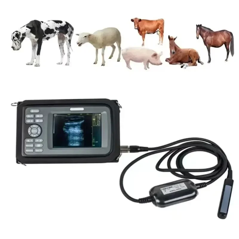 DM Cheap Clinic Handheld Machine Portable Vet Ultrasound for Animal Machine