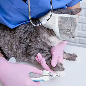 Pet Muzzle Anti-bite Adjustable Breathable Anti-scratch Small Pet Transparent Grooming Muzzle Cat Supplies 3