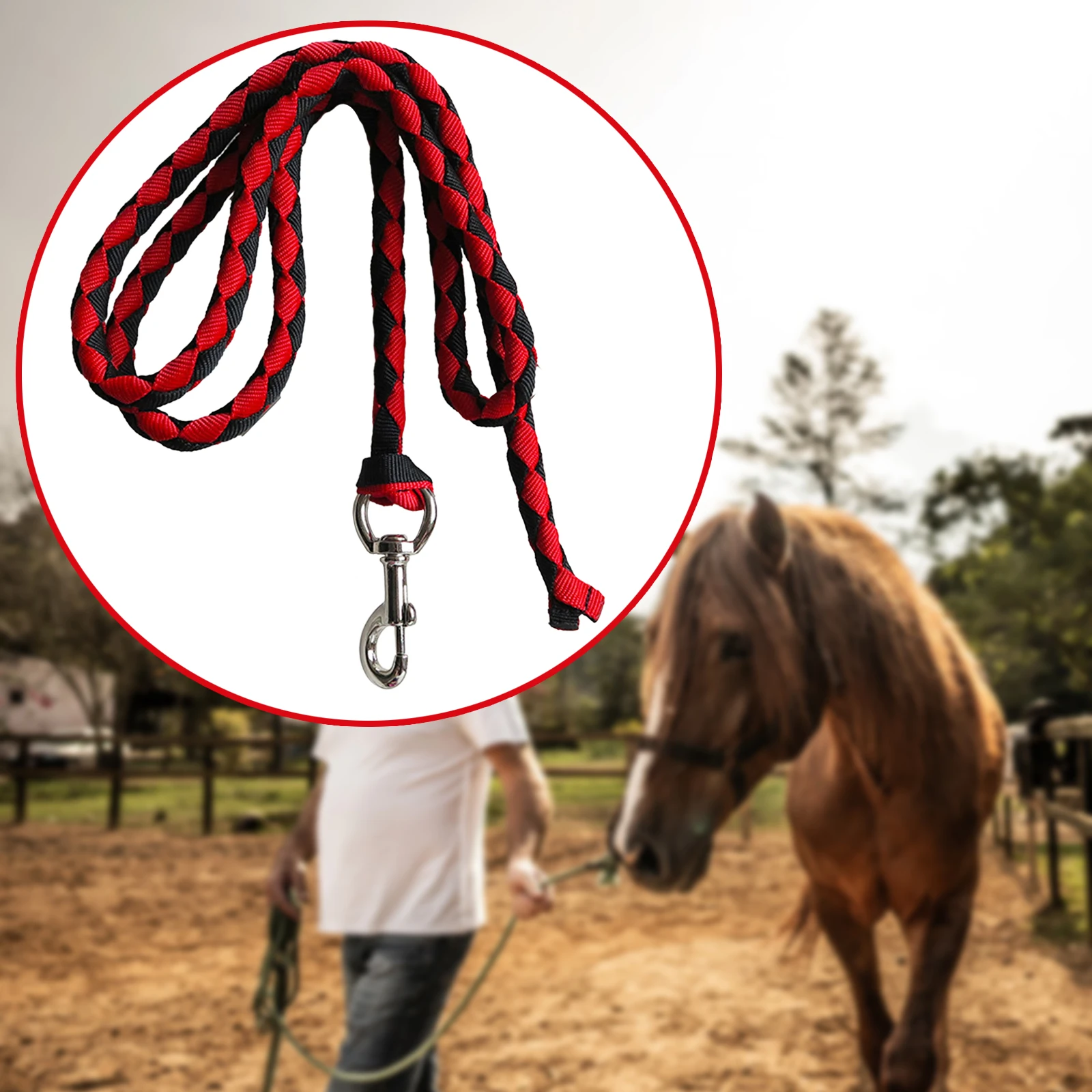 Braided Equestrian Lead Rope Horse Leash Strong Durable Horse Leash for Horse Pony Dog Donkey Cow Goat 2/2.5/3/3.5/4m 3