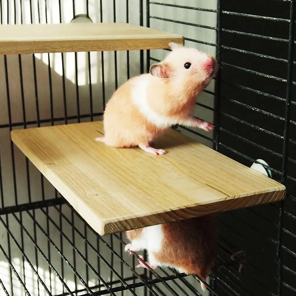 Curated visual reference: Wood Stand Platform Pet Bird Toys Parrot Rack Hamster Perches Photo Inspiration