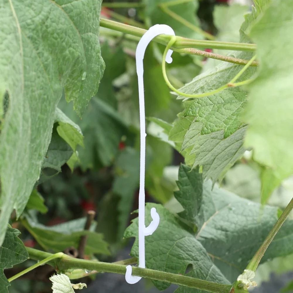 Reusable J-Shaped Plant Support Hooks