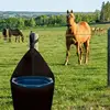 Horse Feed Bag For 5 Gallon Bucket 900D Polyester Livestock Feeder Holder Portable hanging Organizer for Stall Indoor Outdoor 5