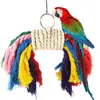 Bird Swing Toy Wooden Parrot Toys Hanging Ring Stand Playstand Cage Playground for Budgerigar Cockatiel Parakeet Bird Supplies 4