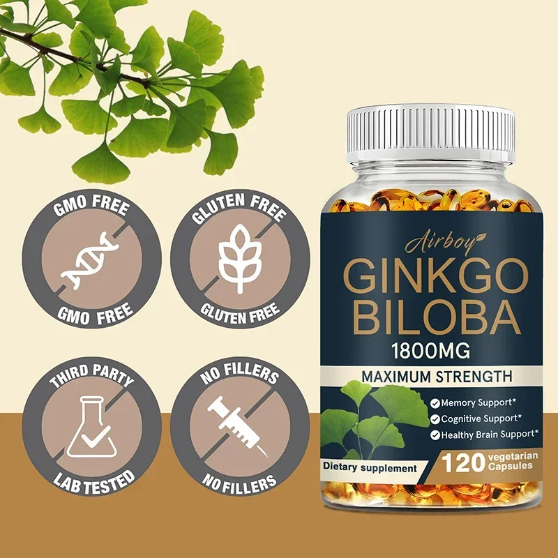 Ginkgo Biloba Supplement Helps Maintain Brain Power Energy Memory Concentration Anti-Fatigue Antioxidant
