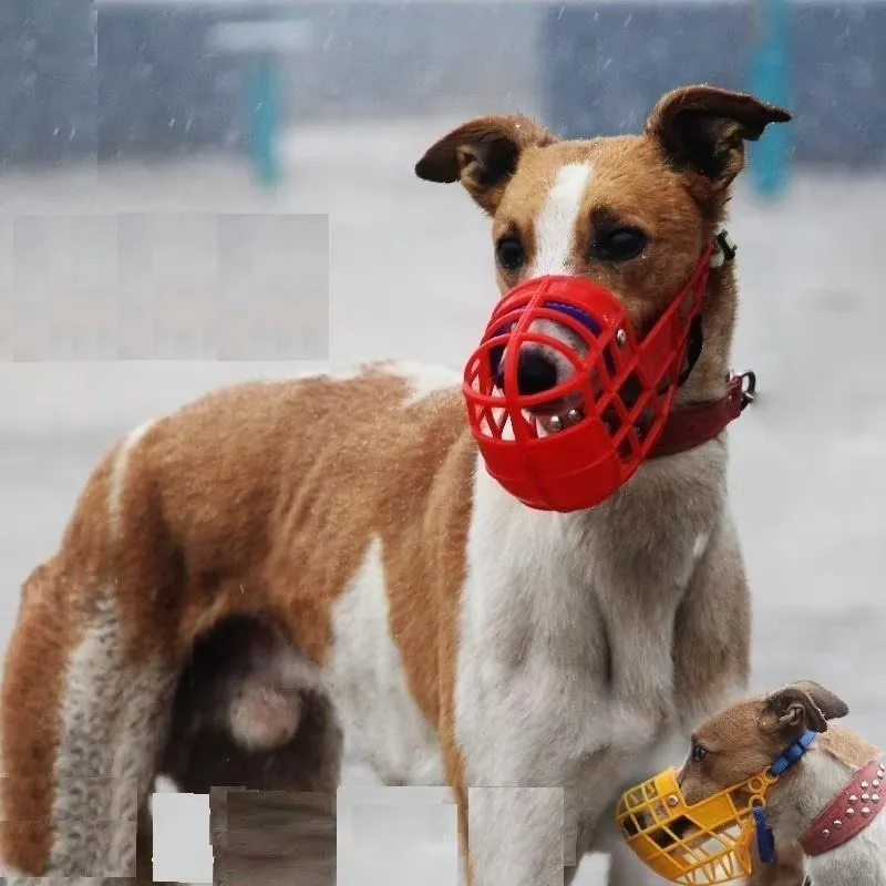 Adjustable Dog Muzzle Plastic Mask Anti-Barking Bite Mouth Cover for Small/Medium/Large Greyhound-Random Colors dog muzzle