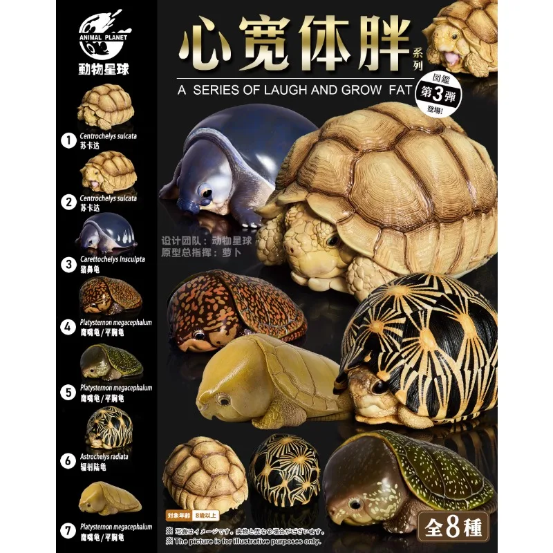 

Original Animal Planet A Series of Laugh and Frow Fat Big-headed Turtle Qversion ActionFigure Model Toy Gift Collection Ornament