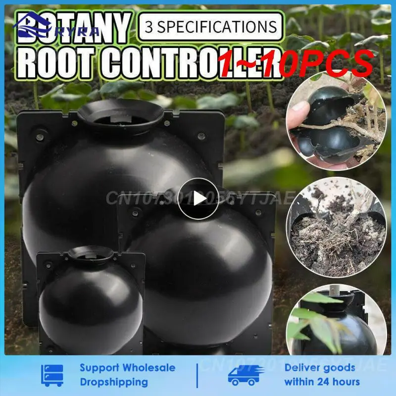 1~10PCS Reusable Plant Root Growing Box Cutting Grafting Rooting Box Garden Rooting Propagation Ball S Breeding Equipment