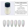 10g/Bottle 6 Color Pearlescent Aurora Chrome Nail Powder Iridescent Shell Powders Holographic Mirror Effect Nail Pigment Dust 5