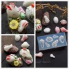 1Pc  Rabbit Blueberry 3D Acrylic Nail Mold Dog Nail Art Decorations DIY Design Blueberry Silicone Mold Pumpkin Nails Art Mold 3