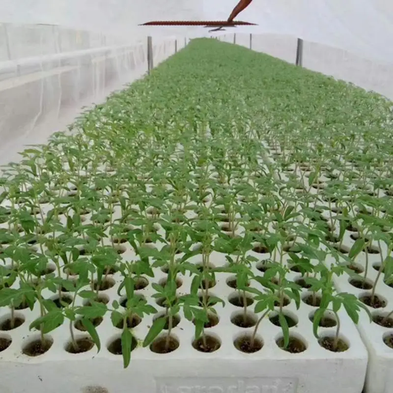 50pcs Starter Plugs Cubes Growing Medium Starter For Cuttings Cloning Plant Propagation And Seed Starting