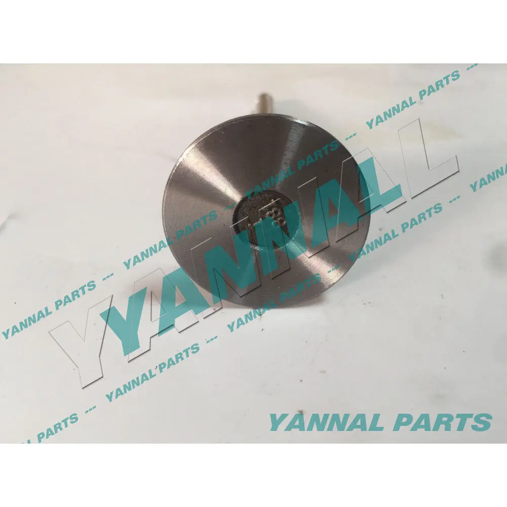 

4HL1 Intake Valve For Isuzu Engine