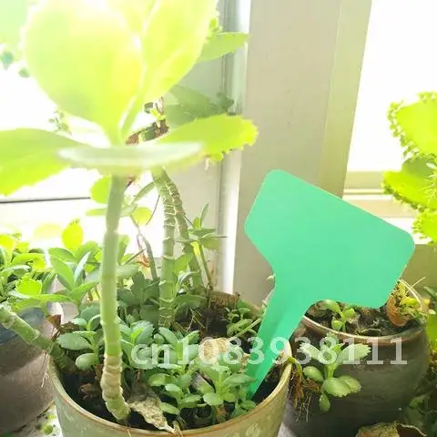 

White Green 10*6 CM Garden Plant Labels Classification Sorting Tag Ticket Plastic Writing Plate Board Plug in Card