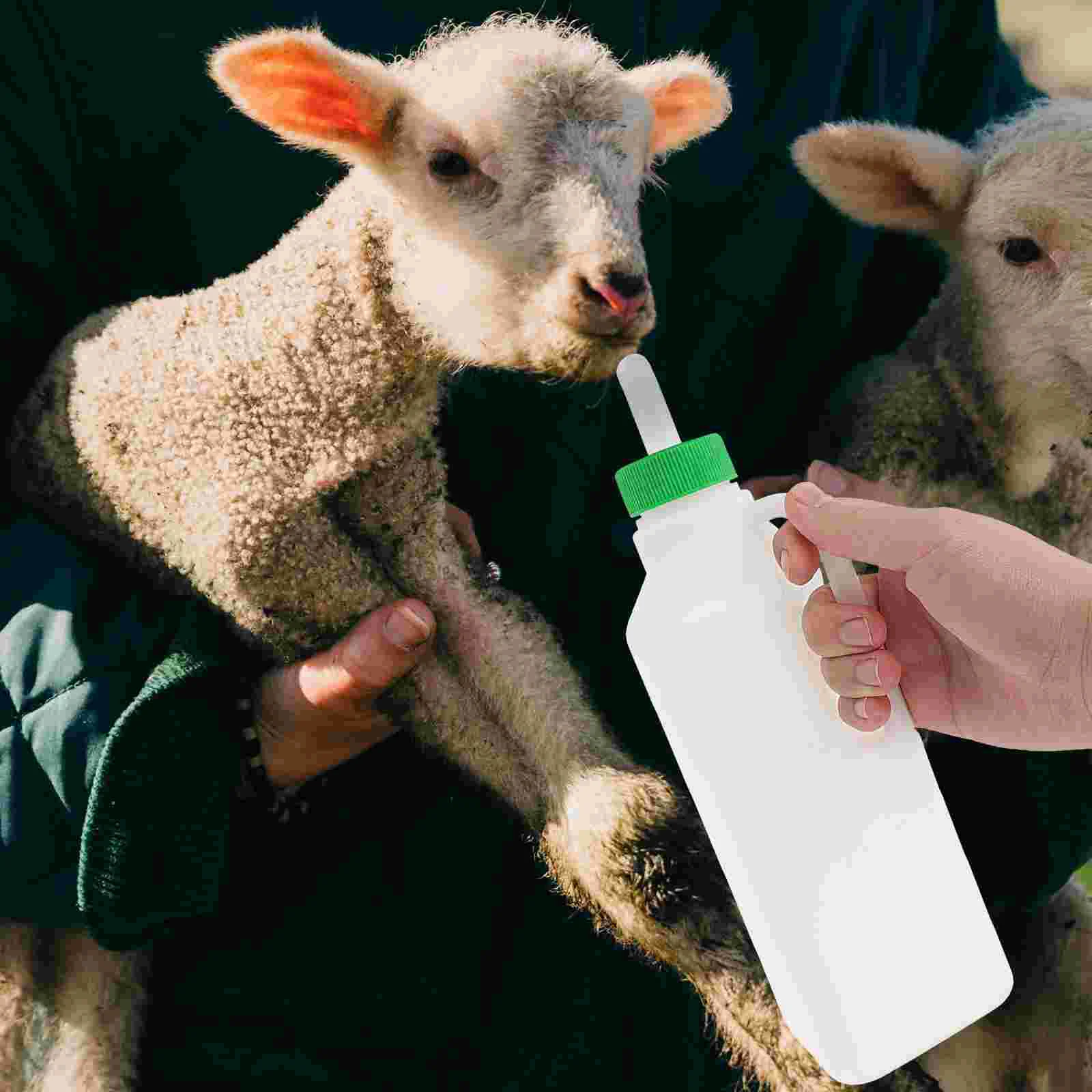    4        Ƹ Ǵ    850ml