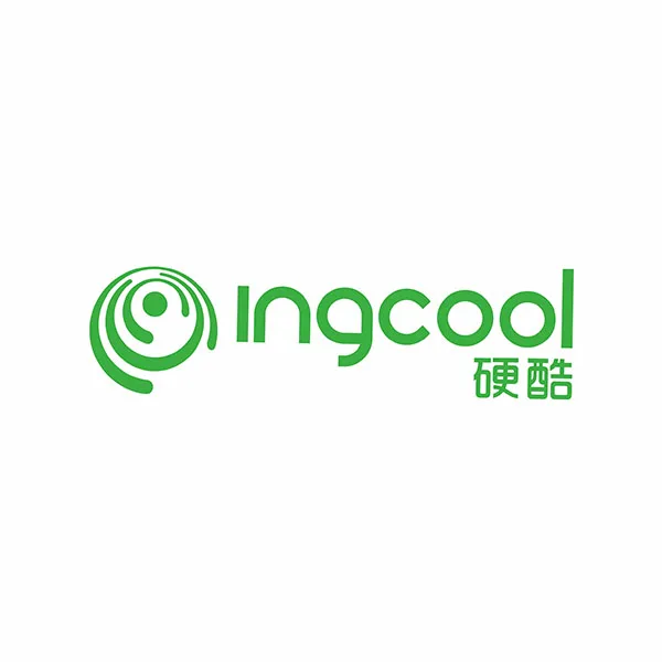 Ingcool Technology Store Store