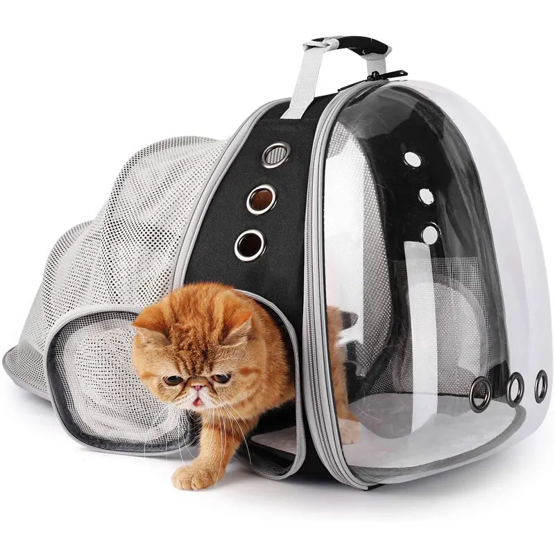 Amazon.com : Back Expandable Cat Backpack Carrier, Fit up to 12 lbs, Hard  Shell Window Pet Carrier Backpack for Cat and Small Puppy : Pet Supplies