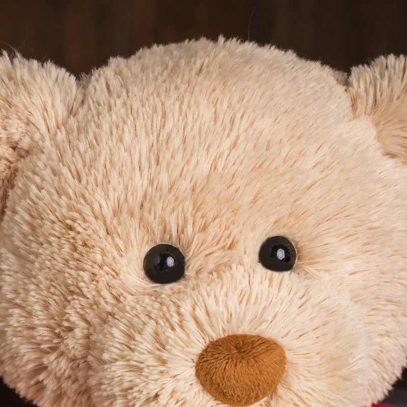 Customizable Teddy Bear with White T-Shirt, 11