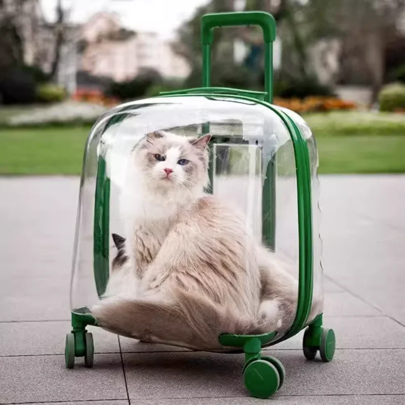 

Outdoor Travel Carriers Clear Trolley Strollers Stroller Space Breathable Cat Carrier Stuff Mochila Para Perro Cats Products