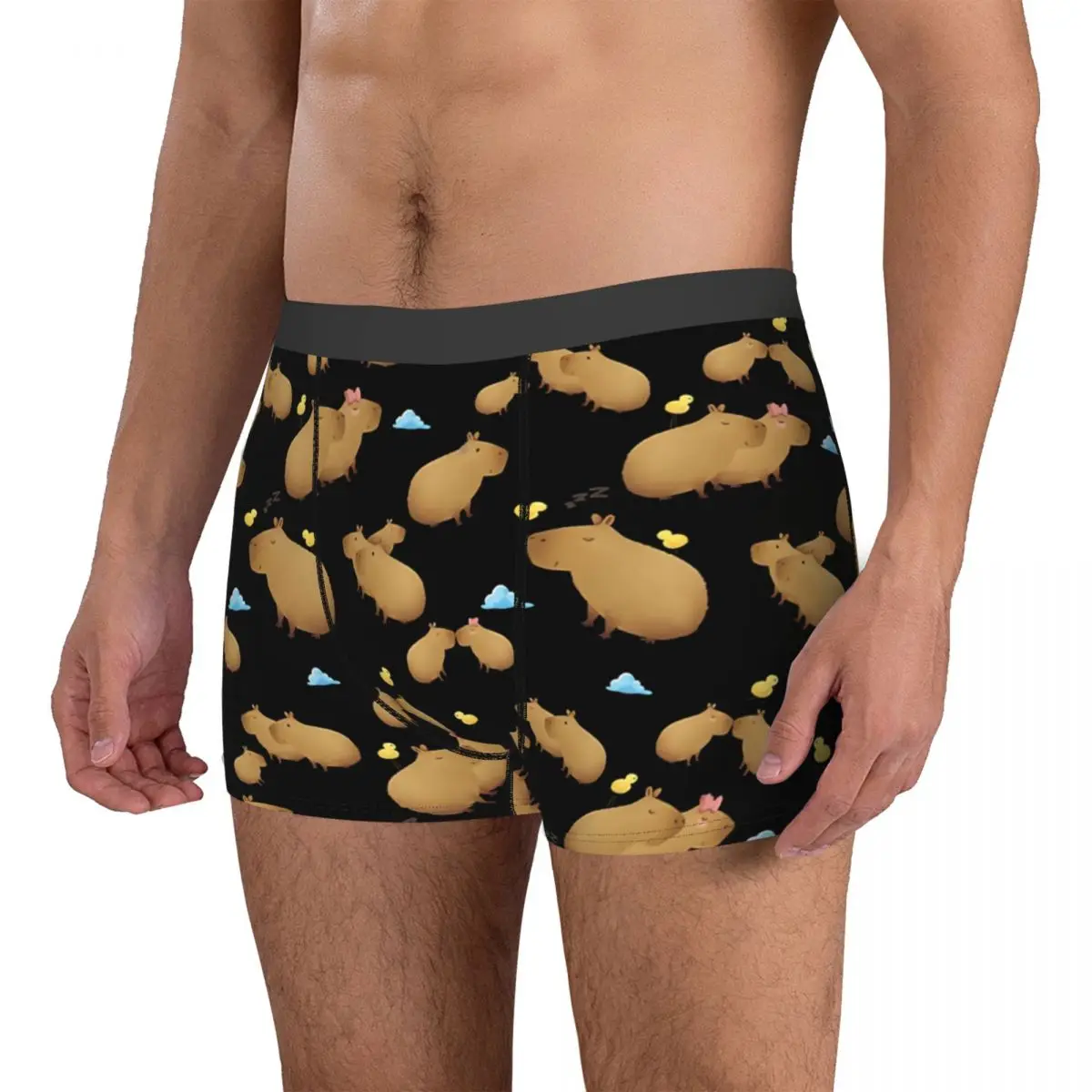 Chill Cute Men Boxer Briefs Capybara Breathable Creative Underpants Top Quality Print Shorts Gift Idea 3