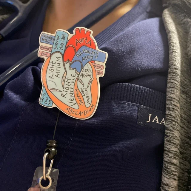 unfinished Anatomical Heart Diagram Retractable Badge Reel, Telemetry  Cardiology Nurse Badge Holder, Monitor Tech Nursing - AliExpress