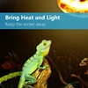 NOMOYPET 2 Pack Reptile Uvb Uva Heat Lamp Bulb For Reptiles Truly Sun-Like Bright Heat For Reptiles, Amphibian And Birds (100 W) 3