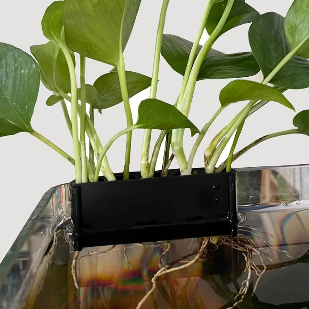 

Aquarium Plant Holder Aquaponic Cultivation Rack Hydroponic Storage Aquascape Decorations for Fish Tank 5 Hole Plant for Plants