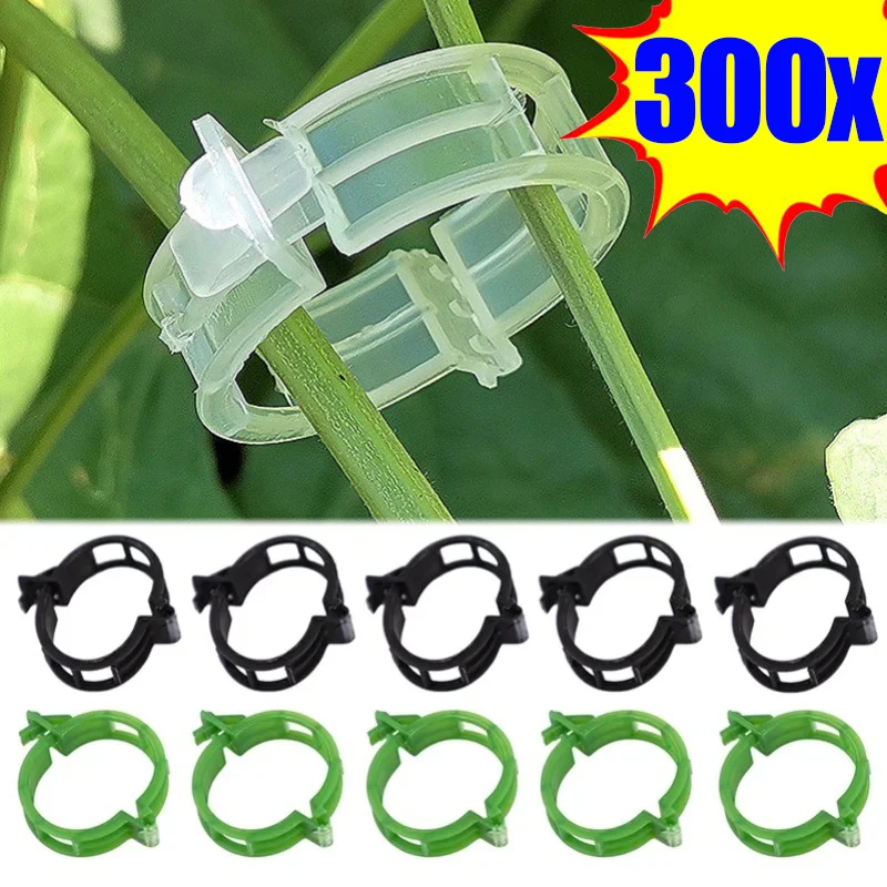 

300/10pcs Plant Clips Supports Reusable Plastic Connects Fixing Vine Tomato Stem Grafting Vegetable Plants Orchard Garden Tools