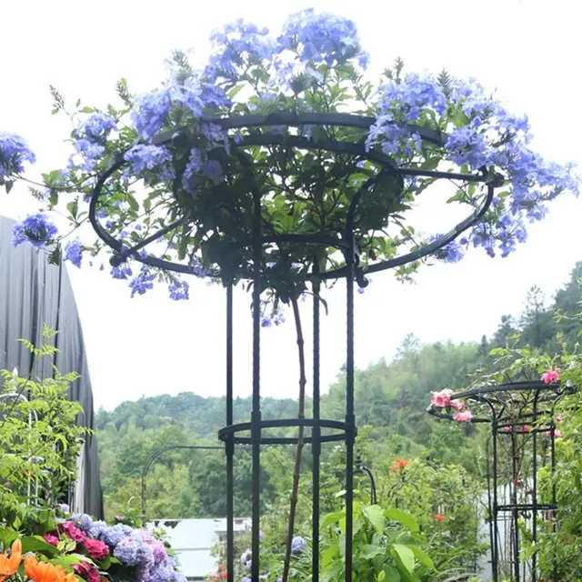 Függőleges Fémkerti Rácsos Növényi Tartó Halom Állvány Mászás Virágok Termesztése Orchard Kert Bonsai Szerszám Üvegházak Rögzítő Ruda - Image 3