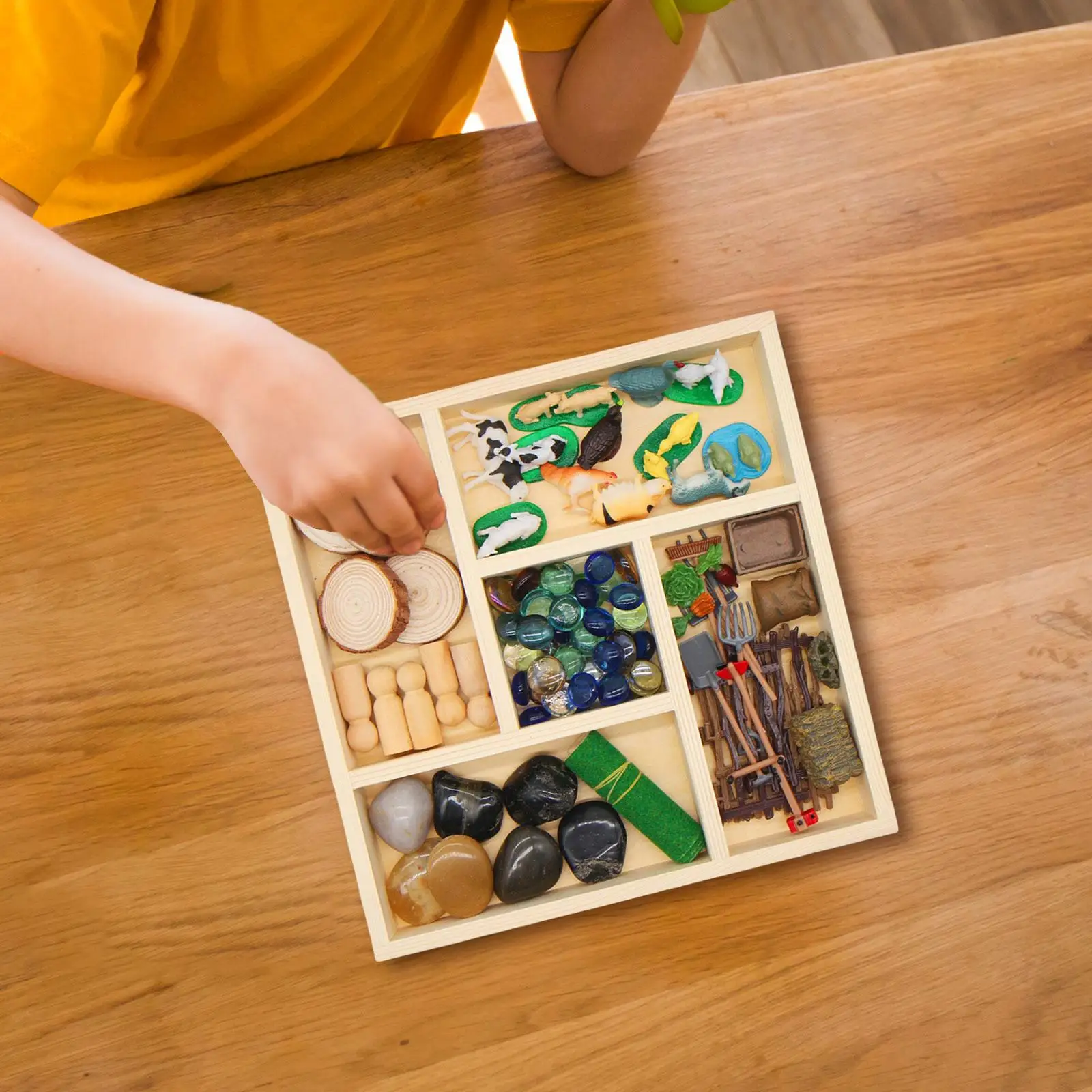 

Sensory Bin Play Tray Montessori Material Parts with Container Storage Toddlers Sensory Bins Toys for Children Kids Holiday Gift